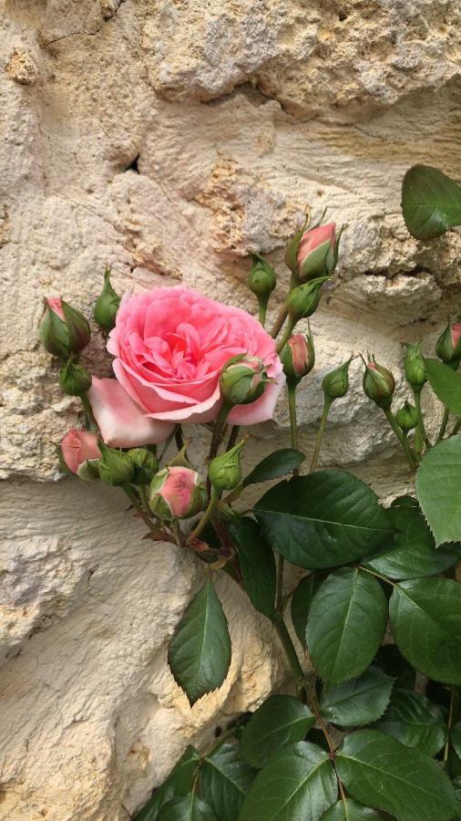 Virsac Fsp Chateau Julie מראה חיצוני תמונה
